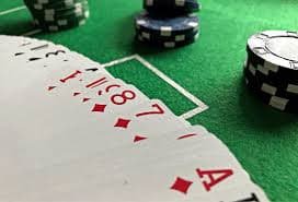 Tim zeeshopgaming bekerja di studio modern dengan teknologi live dealer terkini